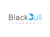 BlackbullTechnosoft logo