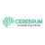 Cerebrum Infotech logo