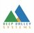 Deep Valley Systems logo