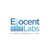 Ellocent Labs IT Solutions Private Limited logo