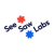 SeeSaw Labs logo