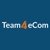 Team4eCom logo