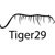 Tiger29 logo